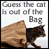 cat out of bag